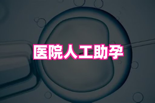 821孕网 4